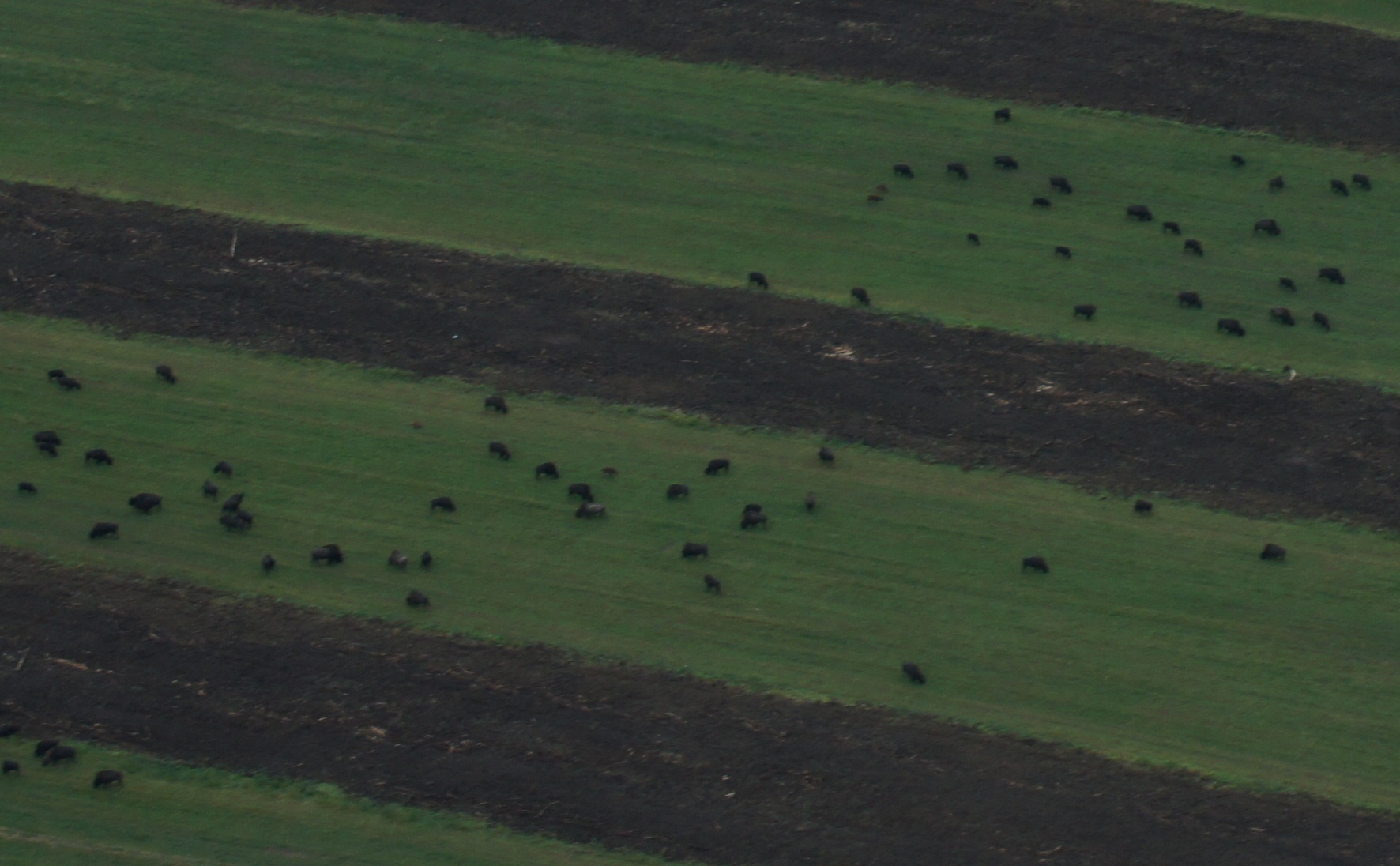 Click to return to the thumbnail index